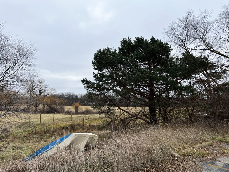 Loch Lomond Golf Club - Jan 8 2023 Photo (newer photo)